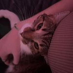 Profile Picture of Leon Wheeler (@whiteswan173) on Instagram