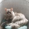 Profile Picture of Julia Selby Smith (@@juliaselbysmith) on Tiktok