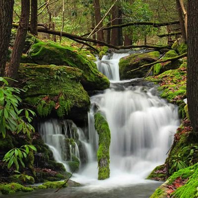 Profile Picture of Crystal Orr (@Corr9Orr) on Twitter