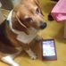 Profile Picture of Huei Huang (@huei.huang1) on Facebook