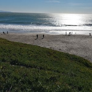 Profile Picture of Lawrence Liew (@LawrenceLiew10) on Twitter