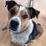 Profile Picture of Bryan (@bryan.mosier) on Instagram