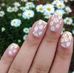 Profile Picture of Daisy Plant (@daisy.plant.395) on Facebook