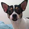 Profile Picture of Sam Hung (@ButterSam) on Flickr