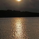 Profile Picture of Peter Liebermann (@liebermannpeter) on Instagram