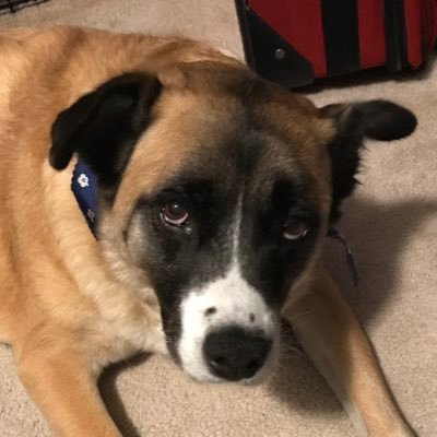 Profile Picture of Michael Mai (@michaelmai30) on Twitter