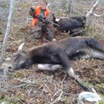 Profile Picture of Marc Béliveau (@marc.beliveau.14) on Instagram