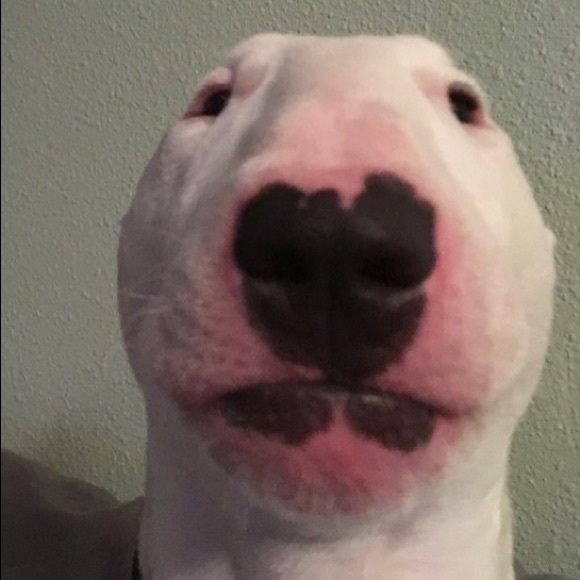 Profile Picture of Joe Notar (@nicholesamboy16) on Poshmark