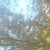 Profile Picture of Trinity Graves (@trinitygraves531) on Youtube