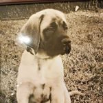 Profile Picture of Luis Tineo (@xx_luti_xx) on Instagram