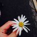 Profile Picture of Hannah Samuelson (@hes17) on Pinterest