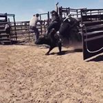 Profile Picture of Chris Carneal (@cowboyfinsta8) on Instagram