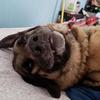Profile Picture of Tim Bowen (@@timbowen13) on Tiktok