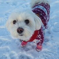 Profile Picture of Monica Franco (@monica-franco-15) on Quora