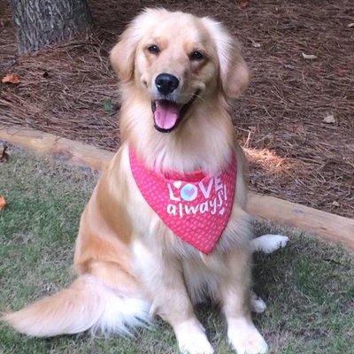 Profile Picture of Maureen Clapperton (@MaureenClapper2) on Twitter