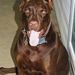 Profile Picture of David Jolly (@davidj0774) on Pinterest