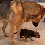 Profile Picture of Ivan Lucero (@byron_lucero) on Instagram