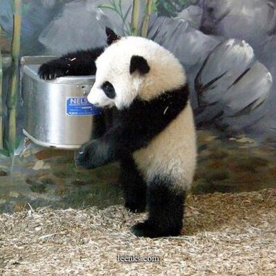 Profile Picture of Neil Gillings (@Ngillin) on Twitter