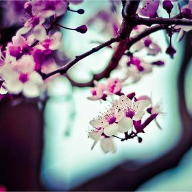 Profile Picture of Zachary Rivera  (@rivera14769609) on Pinterest