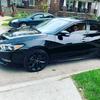 Profile Picture of user1199687438653 (@@zaidalis0) on Tiktok