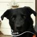Profile Picture of Pamela Riggs (@pamela.riggs.16) on Facebook