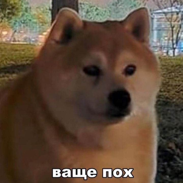 Profile Picture of 1 бан (@atm1244) on Tiktok