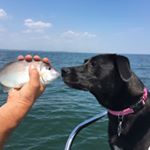 Profile Picture of Gina Frank Hackett (@ginarhackett) on Instagram