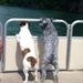 Profile Picture of Terry Trimble (@terrytrimble1) on Pinterest