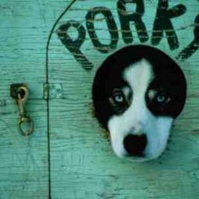 Profile Picture of Tom Lander (@TomTomlander) on Twitter