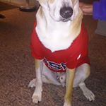 Profile Picture of Sue Koch (@skoch5714) on Instagram