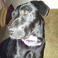 Profile Picture of Stacy Long (@stacy-long-22) on Quora