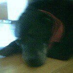 Profile Picture of $$$$-MATTHEW-schweitzer-$$$$ (@matthew_11.11.11) on Instagram