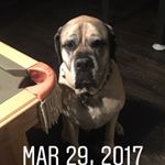 Profile Picture of Jeff Stuller (@mrstullerbd) on Instagram