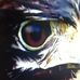 Profile Picture of Harrold Mong (@harrold.mong.3) on Facebook