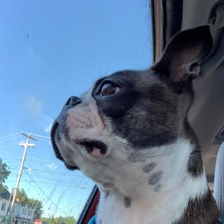 Lorin Eslinger - Instagram Profile Picture of Lorin Eslinger (@lorineslinger) on Instagram