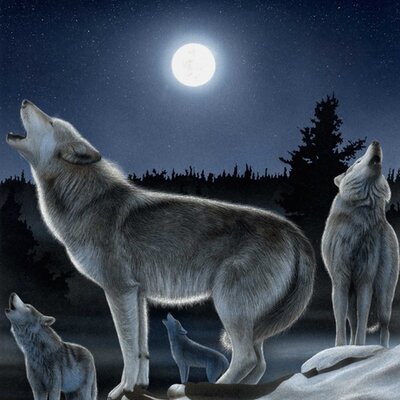 Profile Picture of Nick Perretta (@streetwraith) on Twitter