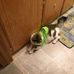 Profile Picture of Ralph Crocker (@ralph.crocker.1) on Facebook