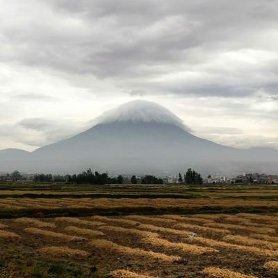 Profile Picture of Mauro José Velarde (@mauroj_velarde) on Twitter