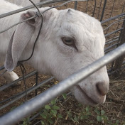 Profile Picture of Andrew Grange (@AndrewGrange) on Youtube