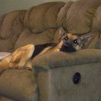 Profile Picture of Jeremy Shelby (@mpd022601) on Twitter