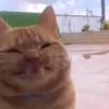 Profile Picture of Adam Mansell (@@adammansell2) on Tiktok