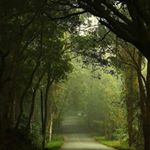 Profile Picture of sindhu (@sindhuja_tummaganti) on Instagram