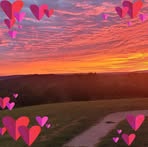 Profile Picture of Bella Hergert (@Bella-Hergert) on Facebook