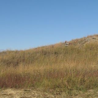 Kevin Whitacre - Facebook Profile Picture of Kevin Whitacre (@kevin.whitacre.50) on Facebook