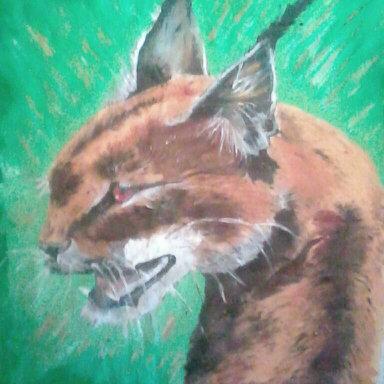 Profile Picture of Sandra Moses (@sandybabe_16399) on Twitter