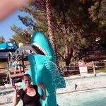 Profile Picture of Diana Piotrowski (@dianapiotrowski) on Instagram