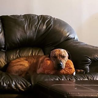 Profile Picture of Jennifer Jean Elizabeth Surette (@jennifer.j.surette) on Facebook