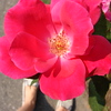 Profile Picture of Pterion (@pterion) on Flickr