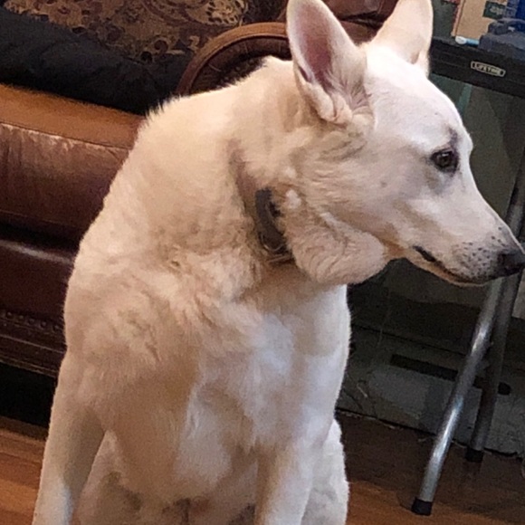 Profile Picture of Rae Williams (@raemannn) on Poshmark