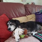 Profile Picture of Daniele Lafayette (@daniele.lafayette) on Facebook